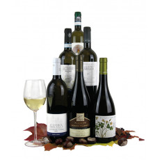 Enoteca Feine Weißweine 2019 Enoteca Feine Weißweine 2019