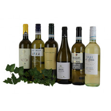 Weißweine für jeden Tag (6 Fl.) ggf.+Fracht Weißweine für jeden Tag (6 Fl.) ggf.+Fracht