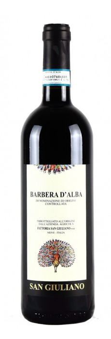 Barbera Barbera