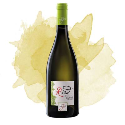 Ried Ruländer Pinot Grigio DOC (Weger) 2022