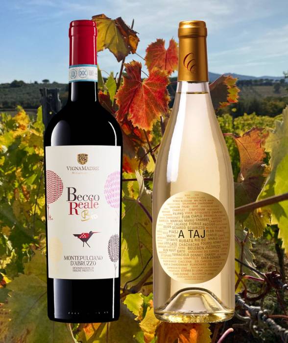 Neue Weine im Herbst (12 Fl.) - frei Haus