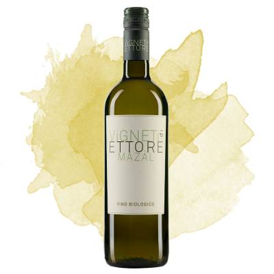 Mazàl Bianco Veronese Bio IGT (Vigneti di Ettore) 2024