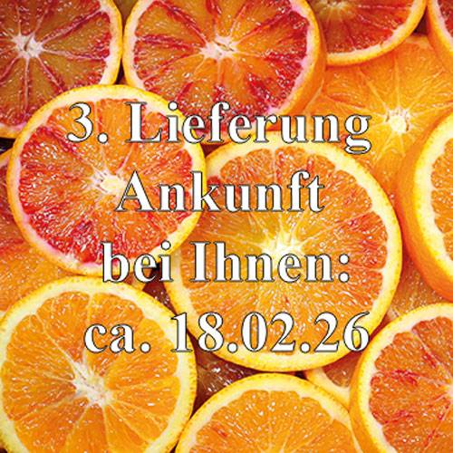 Tarocco Orangen Bio 3 kg (ArcoBio) - 3. Lieferung um den 18.02.