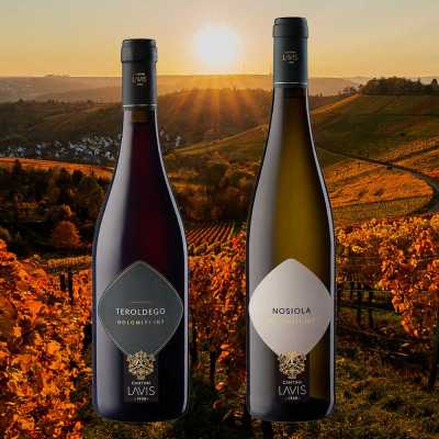 Herbstweine rot/weiss 2026 (12 Fl.) - frei Haus