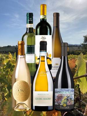Enoteca feine Weißweine (12 Fl.) - frei Haus