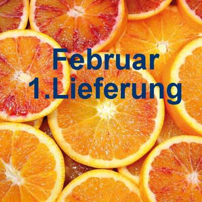 Tarocco Orangen Bio 3 kg (ArcoBio)* Lieferung Februar