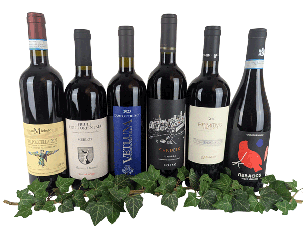 Rotweine für jeden Tag (6 Fl.) ggf.+Fracht