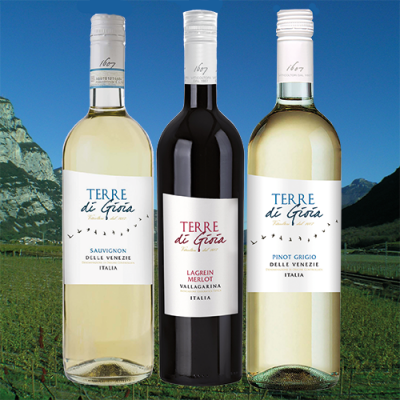 Enoteca Terre di Gioia (3 x 4 Fl.) - frei Haus