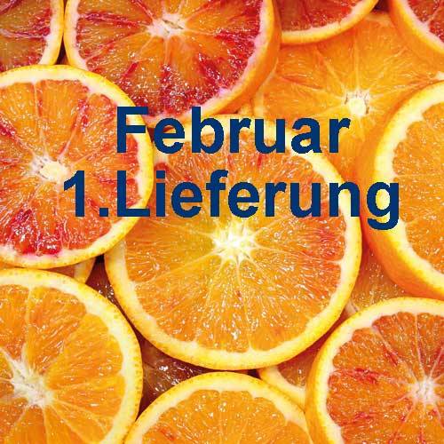 Tarocco Orangen Bio 3 kg (ArcoBio)* Lieferung Februar
