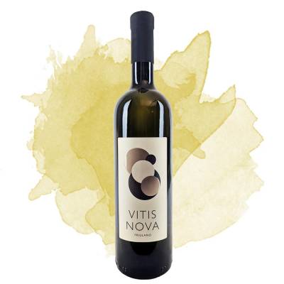 Vitis Nova Friulano Colli Orientali Friuli DOC (Danieli) 2024