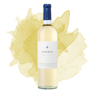 Phebus Torrontes (Fabre Montmayou) 2021