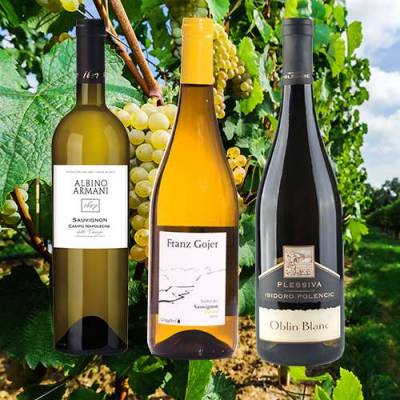 Enoteca Sauvignon Blanc (3 x 2 Fl.) - ggfs.+ Fracht