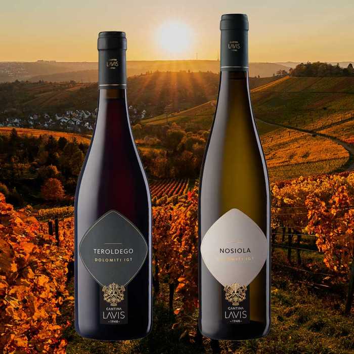 Herbstweine rot/weiss 2026 (12 Fl.) - frei Haus