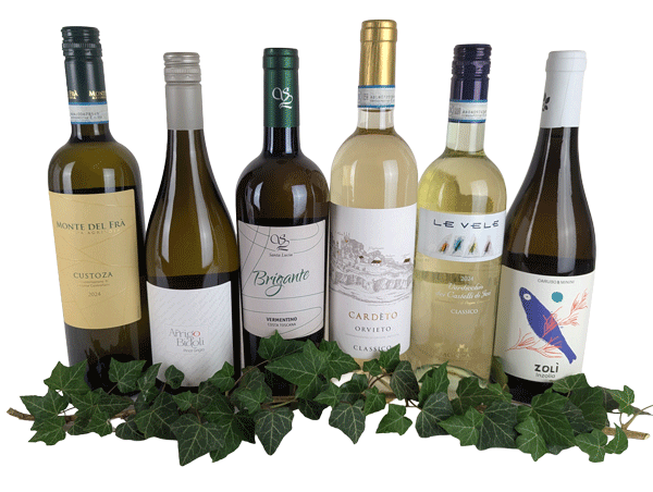 Weißweine für jeden Tag (6 Fl.) ggf.+Fracht