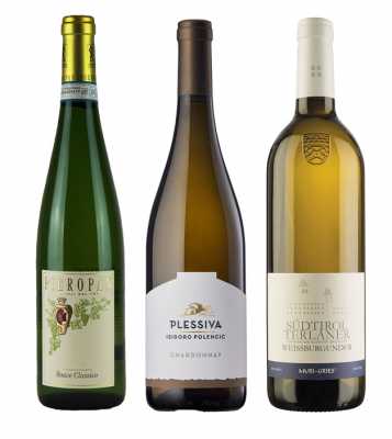 Spargelweine 2023 (6 Fl.) - frei Haus