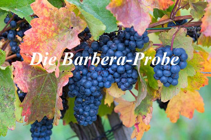 Probierpaket Barbera (6 Fl.) + ggfs. Fracht