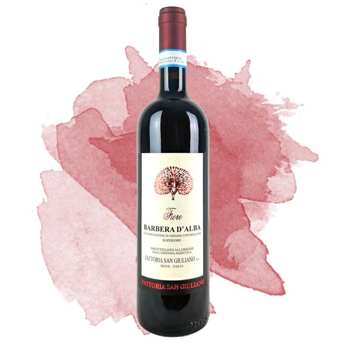 Barbera d'Alba Superiore (San Giuliano) 2023
