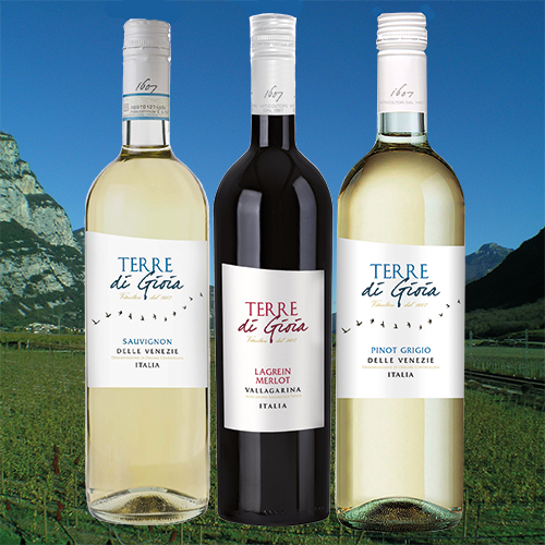 Enoteca Terre di Gioia (3 x 4 Fl.) - frei Haus
