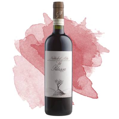 Nebbiolo d'Alba Sot (Pelassa) 2022