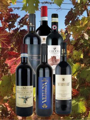 Enoteca feine Rotweine (12 Fl.) - frei Haus