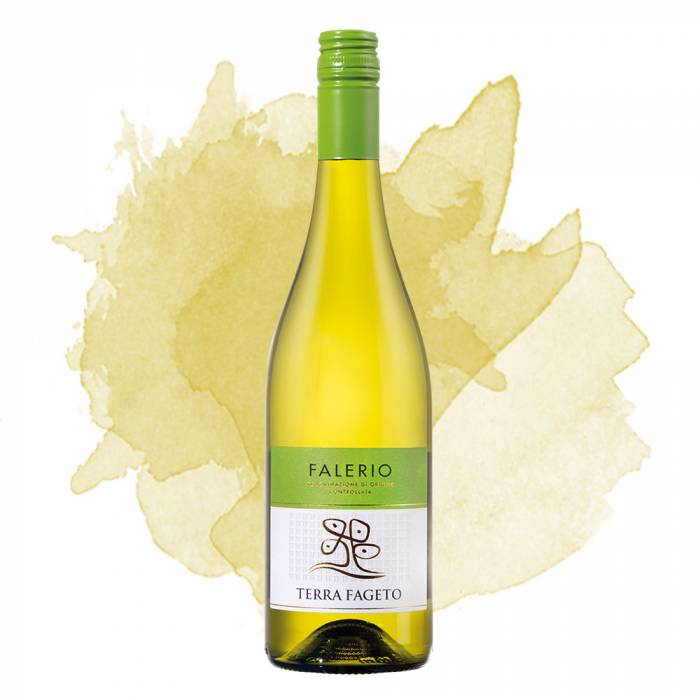 Falerio (Terra Fageto) 2024
