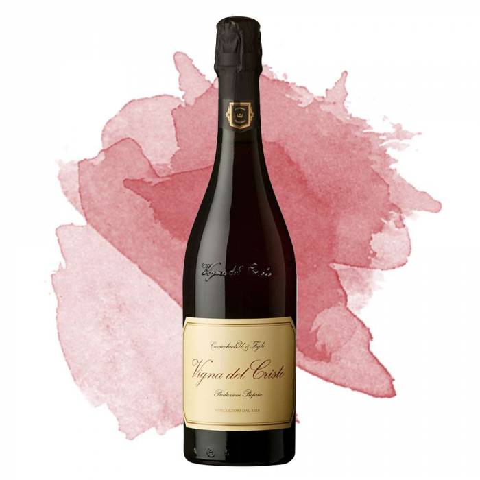 Lambrusco Vigna del Cristo (Cavicchioli) 2023