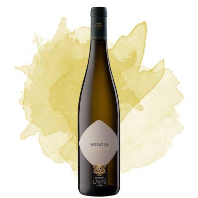Nosiola Classici Vigneti delle dolomiti IGT (La-Vis) 2025