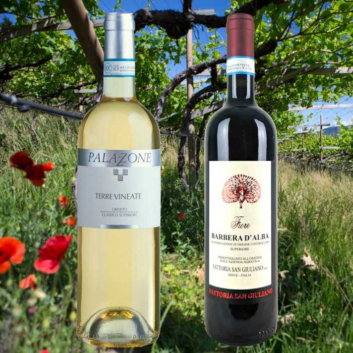 Osterweine 2026 (12 Fl.) - frei Haus