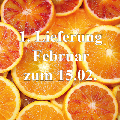 Tarocco Orangen Bio 3 kg (ArcoBio)* Lieferung Februar