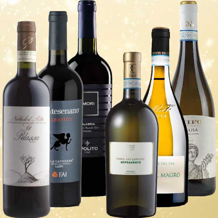 Weihnachtsweine rot + weiß (12 Fl.) - frei Haus