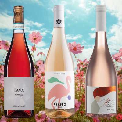 Rosa in den Mai 2026 (6 Fl.) - frei Haus