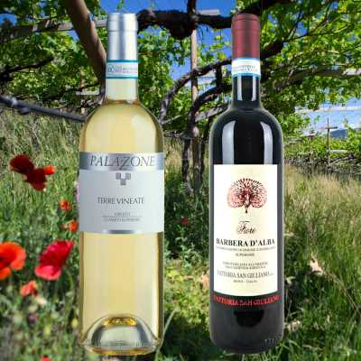 Osterweine 2026 (12 Fl.) - frei Haus