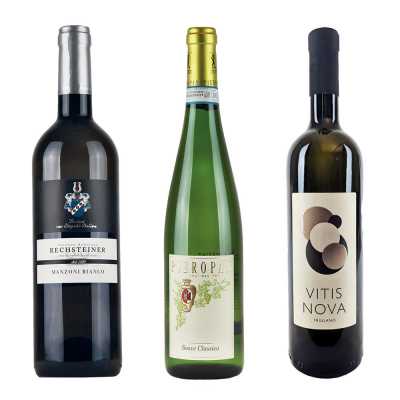 Spargelweine 2025 (6 Fl.) - frei Haus