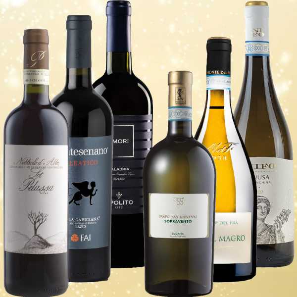 Weihnachtsweine rot + weiß (12 Fl.) - frei Haus