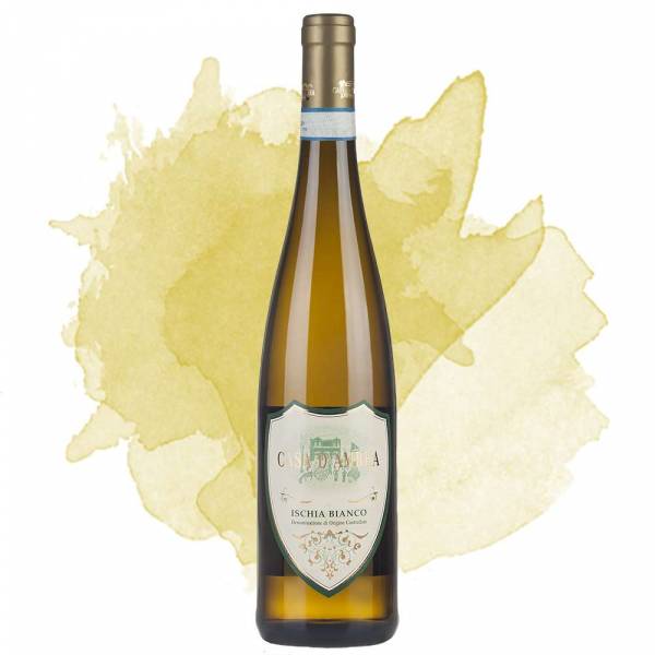 Ischia Bianco (Casa d'Ambra) 2024