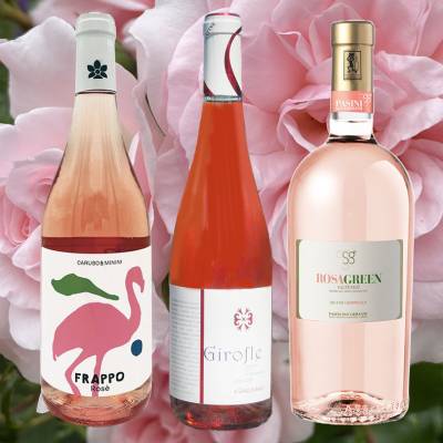 Rosa in den Mai (12 Fl.) + ggf. Fracht