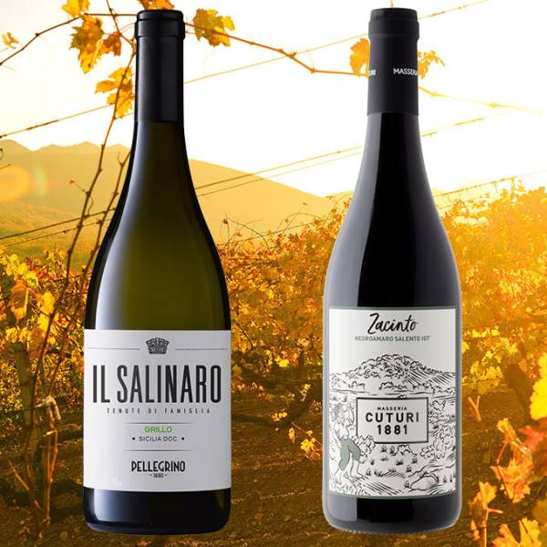 Weine zum Sommerausklang 2025 (12 Fl.) - frei Haus