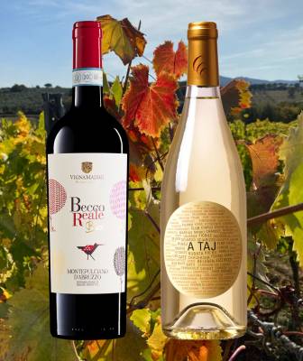 Neue Weine im Herbst (12 Fl.) - frei Haus