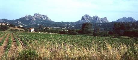 Sardinien